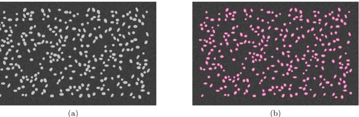 Figure 2: (a) Sample of 300 objects using the ellipse model after adding a Gaussian noise