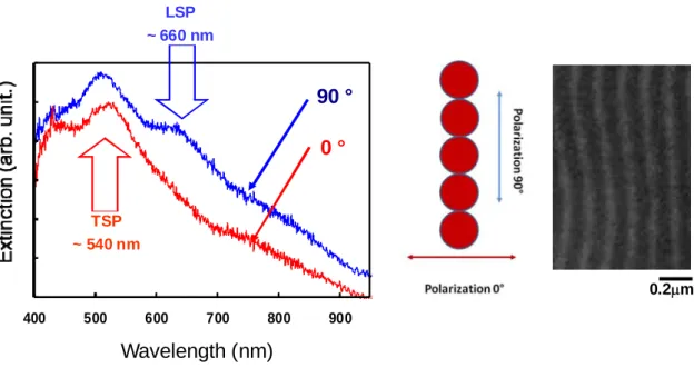 Figure 10. Extinction spectra measured on the CLC film doped with GNPs for a polarization of incident light parallel  (90°) or perpendicular (0°) to GNP ribbons