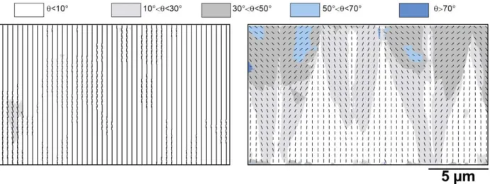 Figure 6.  Calculated vector fields of the local helix axis of the CLC film from TEM images shown in Fig