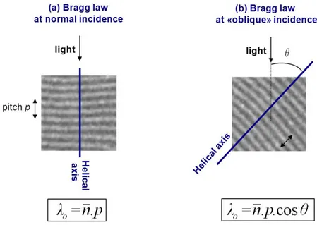 Figure 7. Schematic representation of the light reflection at normal incidence (the light propagates in a direction  perpendicular to the film surfaces): (a) when the texture of the CLC film is planar; (b) when the orientation of the  helical axis has rota