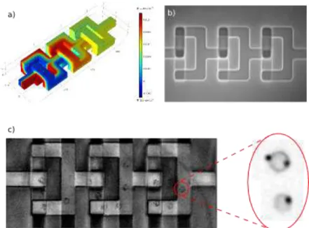 Figure 2: a) Comsol FEM analysis of the 3D mixer device for mixing an aqueous solution of fluorescein  with  water
