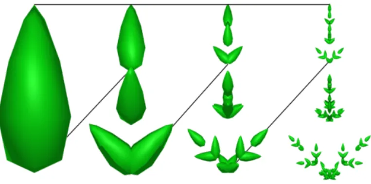 Fig. 2. Construction of an artificial crown. The initial object was a tapered ellipsoid and the IFS transformation was made of n = 5 duplications of a contracted object by a factor c = 3.