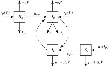 Figure 1: Schematic diagram of the model.