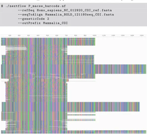 Figure 9 Excerpt of the final Mammalia COI nucleotide alignment containing 117,363 sequences produced by MACSE_BARCODE including both full-length (1,548 bp) and shorter COI fragments as visualized by AliView (Larsson, 2014).
