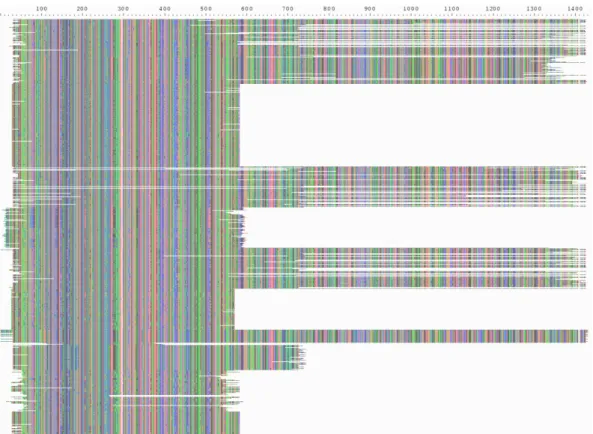 Figure 11 Excerpt of the final Magnoliophyta rbcL metabarcoding nucleotide data set containing 121,302 sequences produced by MACSE_BARCODE including both full-length (1,440 bp) and shorter rbcL fragments as visualized by AliView.