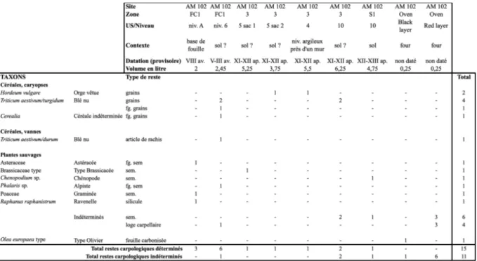 Tableau A4.1 : Tableau synthétique des résultats de l’étude carpologique du site (en valeurs absolues)