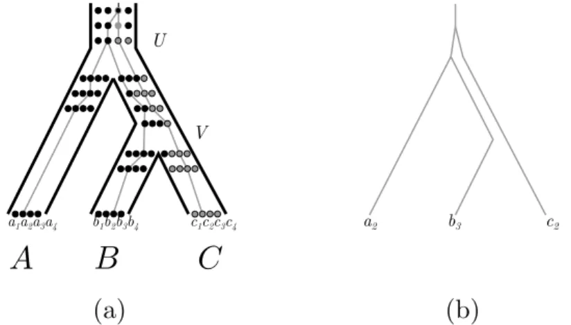 Figure 4 (a) A species tree (bold lines) along with the coalescent history of gene variants a 2 , b 3