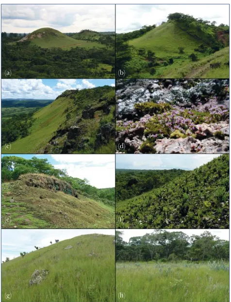 Figure 2. (a) (b) et (c) Vue générale de trois affleurements de Cu et Co au Katanga (République  Démocratique du Congo) isolés géographiquement dans le paysage katangais dominé par la  forêt claire du miombo sur les sols non métallifères ; (d) Végétation c