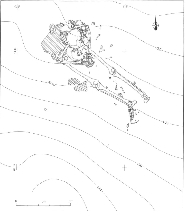 Fig. 6 :  Auneau  &#34; Le Parc du Château &#34;  (Eure-et-Loir). Relevé synthétique de la sépulture, à partir des 15 plans partiels effectués au  cours de la fouille