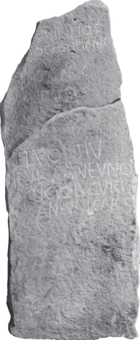 Fig. 10. La stèle inscrite en langue gauloise provenant   de Genouilly (Cher) (cl. S. Girond).