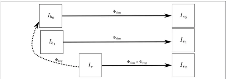 Figure 4 illustrates how the approach described in this section can be used to generate multiple sets of longitudinal simulated sequences having identical morphological evolution but different variations of intensities