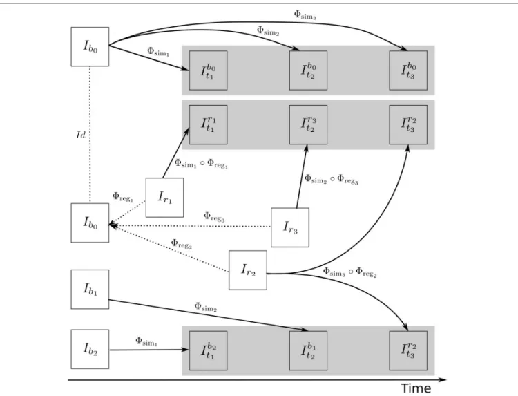 FIGURE 4 | A general approach to simulate ground truth synthetic longitudinal images with realistic intensity variations; simulated images are shown within the shaded regions