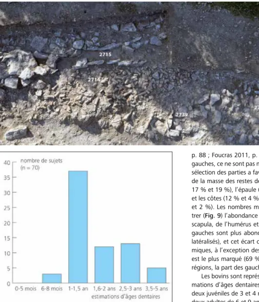 Fig. 7. Cliché de la structure  laténienne avec les anses  d’amphore à plat au nord-ouest 