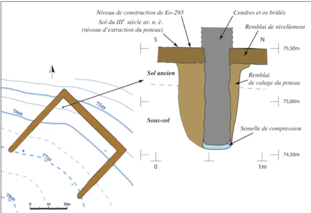 Fig. 8. Restitution de la topographie originale de l’enclos En-38 et coupe du poteau P-681,   associé à l’ensemble Eo-293 (DAO G