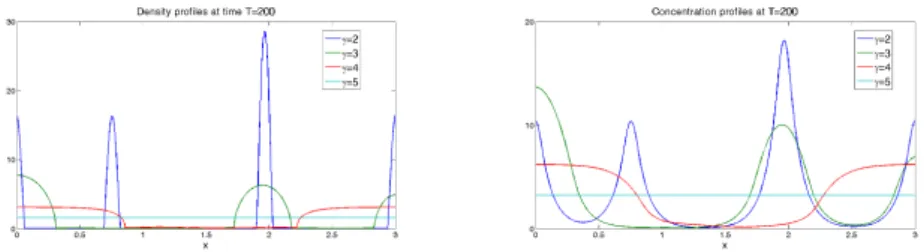 Figure 9. Profiles of the density ρ (on the left) and of the chemoattractant concentration φ (on the right) at asymptotic states of system (1.1) with ε = 1,D = 0.1,a = 20,b = 10,χ= 10 on the interval [0,3] for different values of the adiabatic exponent γ =