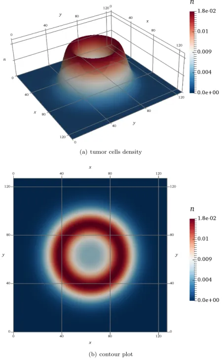 Figure 3. The left panel (a) shows the numerical solution of tumor cells density n evaluated at t = 1 unit of simulation time in the isotropic, homogeneous diffusion case (a = c = 1.0 , b = 0.0) with weak haptotactic signal (γ = 0.00005)