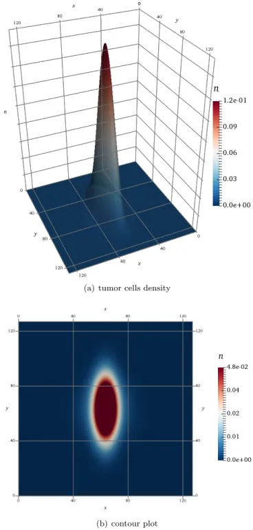 Figure 4. The left panel (a) shows the numerical solution of tumor cells density n evaluated at t = 1 unit of simulation time in the anisotropic, homogeneous diffusion case (a = 0.01 , c = 1.0 , b = 0.0) without haptotaxis (γ = 0.0)