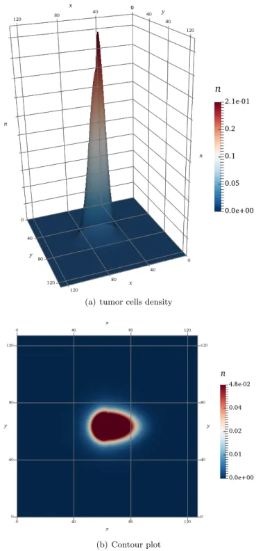 Figure 6. The left panel (a) shows the numerical solution of tumor cells density n evaluated at t = 1 unit of simulation time in the case of anisotropic, inhomogeneous diffusion tensor (3.7) and without haptotaxis (γ = 0.0)