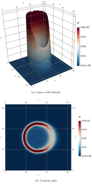 Figure 7. The left panel (a) shows the numerical solution of tumor cells density n evaluated at t = 1 unit of simulation time in the case of anisotropic, inhomogeneous diffusion tensor (3.7) and with weak haptotactic signal (γ = 0.00005)