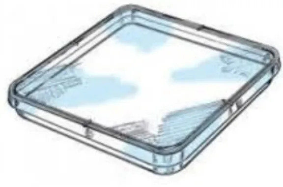 Figure 1. A squared Petri dish for in vitro experiments.