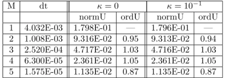 Table 1. Numerical results on the Quadrangle mesh family, final time T=0.25.
