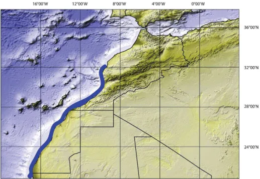 Figure 11: Schéma représentant le phénomène d'upwelling au large du Maroc (Moujane et al., 2011)