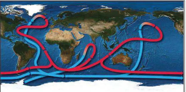 Figure 12 : Représentation de la circulation thermohaline globale. Les courants de fond en bleu, les courants  de surface en rouge (http://www.whoi.edu/page.do?pid=80696&amp;i=3125).