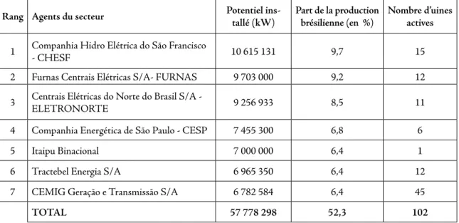 Figure 1.3 - Principaux agents producteurs d’énergie au Brésil