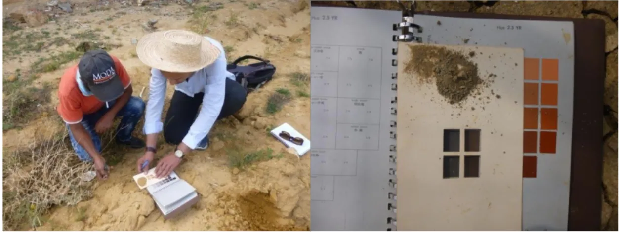 Figure 15. Démonstration et vérification du type du sol avec un agriculteur en se basant  sur le code Munsell sur la zone 1 