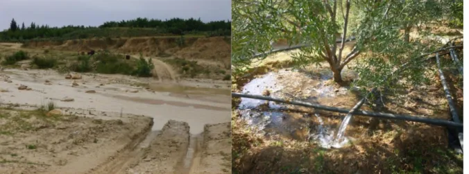 Figure 16. Les sources d’eau sur Khit El Oued, à droite l’eau du forage et à gauche le  pompage de l’eau de l’oued Merguellil 