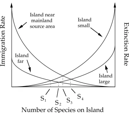 Figure  3.  MacArthur  &amp;  Wilson  (1967)  were  the  first  to  combine  dispersal  limitation  and  demographic drift into a simple model, that aims at explaining the number of species found on  islands
