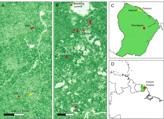 Figure 1: Sampling scheme.  Relative position  of all sampled 1-ha forest plots, in (A) Paracou,  and  (B)  Nouragues;  (C)  relative  position  of  the  Paracou,  Arbocel,  and  Nouragues  sites