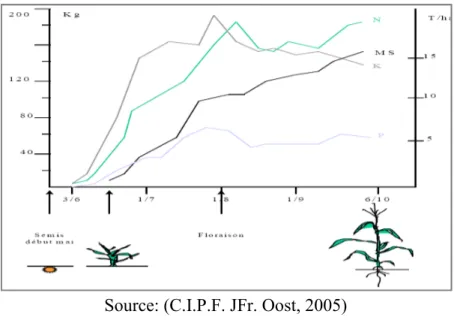Figure 1.4. Evolution du rendement en matière sèche et absorption des éléments fertilisant N-P-K