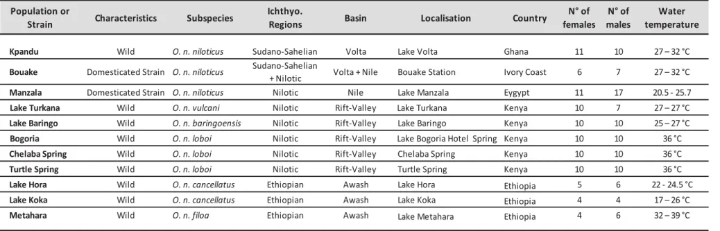 Table 1:  Information on the populations and strains sampled of Oreochromis niloticus