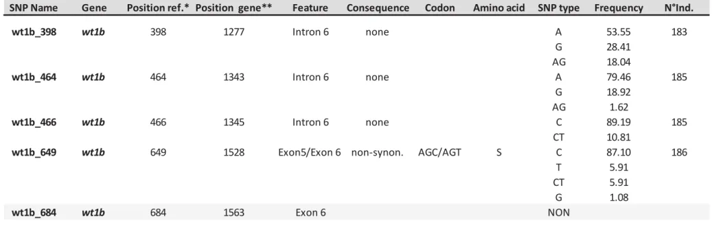 Table 6: SNPs identified in the wt1b   gene