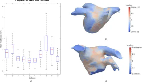 Fig. 3. (a) Mean and interquartile range of the left atrial wall thickness for 10 datasets tested, with maximum whisker length specified as 1.5 times the interquartile range;