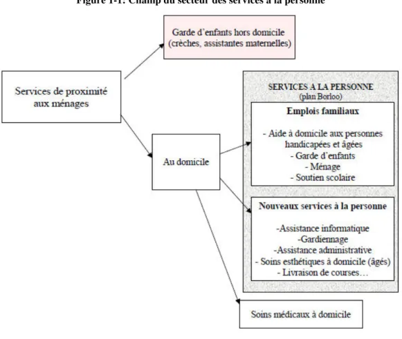 Figure 1-1: Champ du secteur des services à la personne  