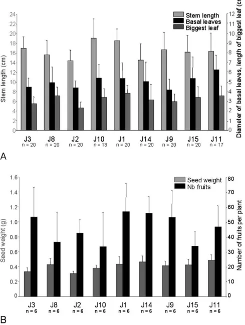 Fig. 3 Mean and standard deviation of the stem length (in cm), diameter of the basal leaves (in cm), length of the biggest leaf per individual (in cm) (A), and number of fruits per plant and seed weights (in g) (B) per  pop-ulation, sorted by their Cd  hyp