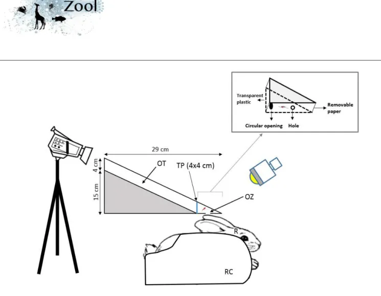 Figure 1. Experimental set-up to monitor the biting behavioural sequence. OT: Observational tunnel, TP: 