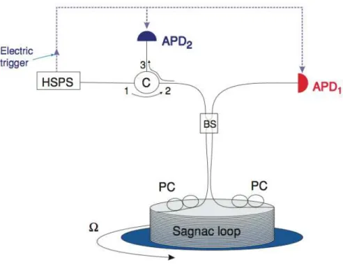 Figure  3.  Experimental  setup.  Optical  fibres  are  represented  in  continuous  line,  and  electric  trigger  in  slash-line