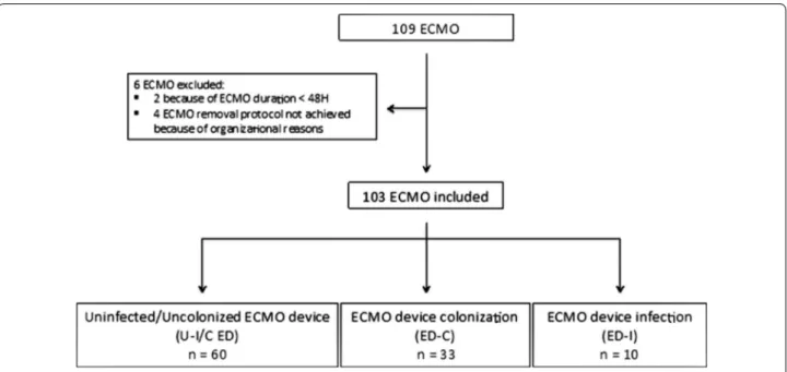 Fig. 1  Study flow chart. ECMO, extracorporeal membrane oxygenation