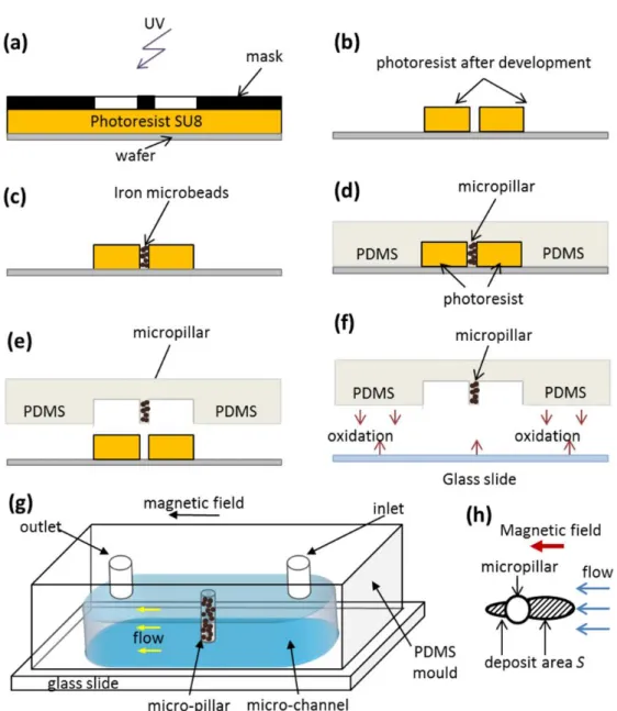 Figure 3. Principle stages of microfabrication of a microfluidic channel for magnetic separation (a–f)