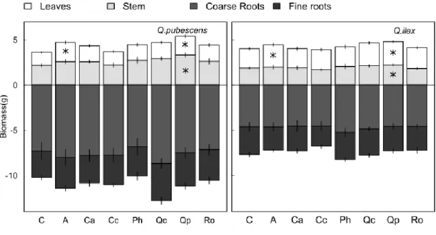 Figure 3: Seedling biomass as a function of litter treatments for both oak species. Q