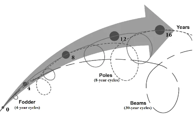 Figure 5: Nested cycles of ash products exploitation for fodder (solid line), poles (dotted line)  and beams (interrupted line)