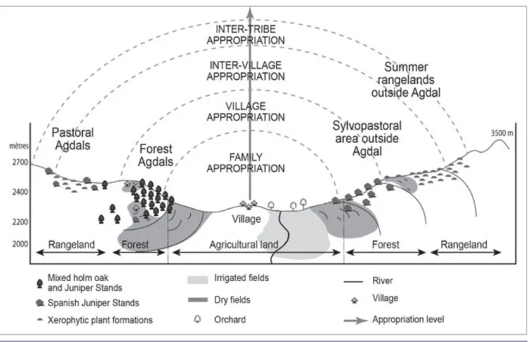 Fig. 3. Cross section of the main resource spaces and appropriation levels in the upper valley of the Aït Bouguemmez (adapted from Romagny et al