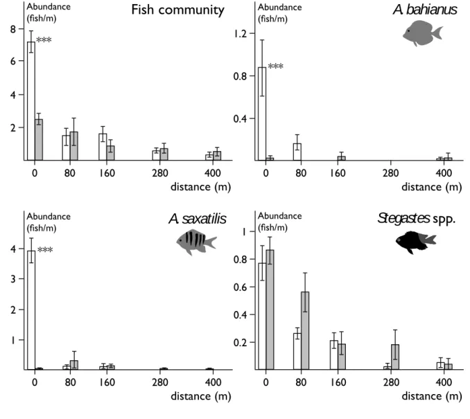 Figure  3.    Abundance  of  fish  community,  A.  bahianus,  A.  saxatilis  and  Stegastes  spp
