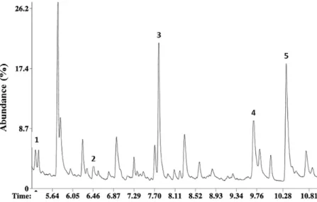 Fig. 2.  Total ion current chromatogram of a hair pencil SPME fibre extract. 1: phenyl acetaldehyde, 2: 2-phenyl ethanol, 3: creosol, 4: perillyl alcohol, 5: methyl  anthranilate.