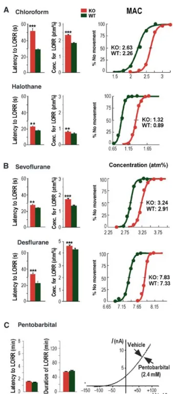 Figure 7 Effects of different anesthetics on LORR and MAC in Trek1 þ / þ and Trek1  /  mice