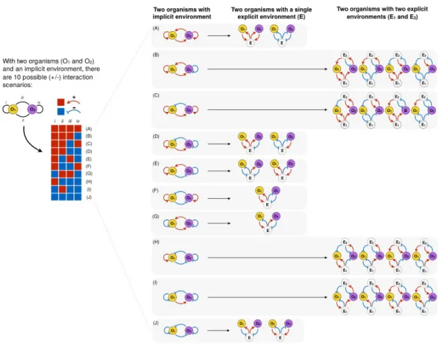 Figure   3.   Environment-mediated   organism-organism   interactions.  Illustrated   are   the possible   combinations   of   positive   (red)   and   negative   (blue)   interaction   scenarios between two organisms (O 1   and O 2 ) from different types 