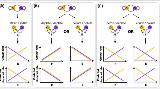 Figure I. The value of explicit environment representation for predicting the evolution of dispersal